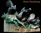 Lifesize Turkeys on floor base